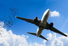     Wegen Coronavirus-Scherz:   Kanadisches Flugzeug kehrt nach Toronto zurück  