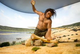   Menschheit vor 900.000 Jahren am Rand des Aussterbens  
