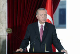   Erdogan wird Kasachstan besuchen  