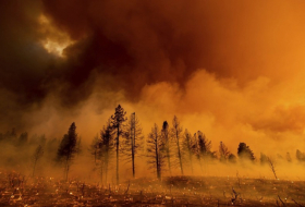   Zahl der Opfer von Waldbränden in Chile hat 112 Menschen erreicht  