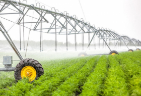   Agrarsektor in Aserbaidschan wuchs um mehr als 1 %  