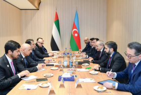  Aserbaidschan hat mit den VAE über Investitionsmöglichkeiten in „grüne Energie“ gesprochen 