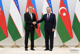   Neue Richtungen der Zusammenarbeit zwischen Aserbaidschan und Usbekistan diskutiert  