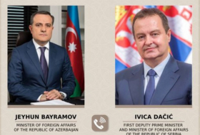   Erster stellvertretender Premierminister Serbiens: Wir legen besonderen Wert auf die strategische Zusammenarbeit mit Aserbaidschan  