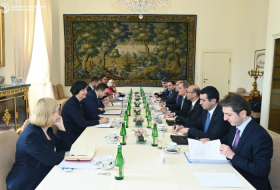   Aserbaidschanischer Außenminister informiert seinen tschechischen Amtskollegen über den Normalisierungsprozess zwischen Baku und Eriwan  