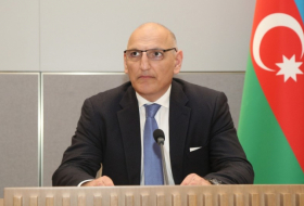    Elchin Amirbeyov:   Armeniens Zustimmung zur Ausrichtung der COP29 in Baku ist das Ergebnis von Vertrauensmaßnahmen  