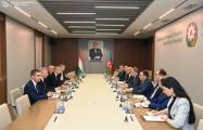   Aserbaidschan und Ungarn halten nächstes Treffen im Rahmen des strategischen Dialogs ab  