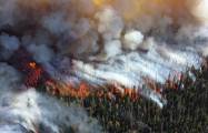   In Jakutien brennen 460.000 Hektar Waldfläche  