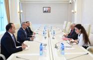   Interparlamentarische Beziehungen zwischen Aserbaidschan und Brasilien besprochen  
