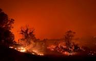   Zahl extremer Waldbrände hat sich verdoppelt  