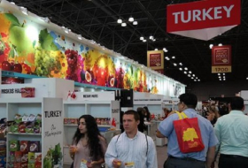 2017 wird das Jahr des türkischen Tourismus sein