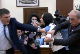 Sargsyans Vertreter schlagen weibliche Politikerin - VIDEO