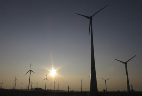 Keine Einigung bei Windenergie bei Bund-Länder-Gipfel erwartet