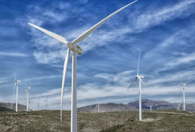 Ökostrom: Branche fordert mehr Tempo bei Windkraft-Ausbau