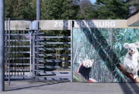Alle Seidenaffen im Duisburger Zoo plötzlich verstorben