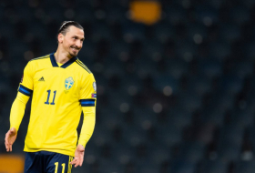   Ibrahimović soll eingesperrten Löwen getötet und Haut und Schädel nach Schweden importiert haben  
