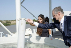   Leyla Aliyeva nahm an der Zeremonie der Freisetzung von Störbraten ins Wasser   - FOTOS    
