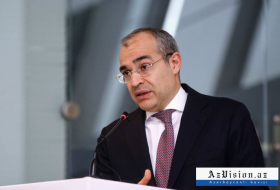   Mikail Jabbarov empfing den stellvertretenden Staatssekretär für europäische und eurasische Angelegenheiten  