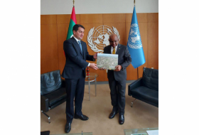  Hikmet Hajiyev traf sich mit dem Vorsitzenden der UN-Generalversammlung 