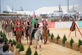  Auftritt der Karabach-Pferde in Istanbul stieß auf große Sympathie  - FOTOS  