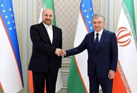   Sprecher des iranischen Parlaments traf sich mit dem Präsidenten Usbekistans  