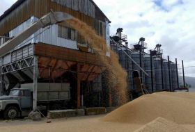     Kiew und Moskau machen Weg für Getreideexporte frei    