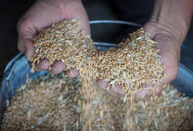   Abkommen zur Getreide-Lieferung aus Ukraine unterzeichnet  