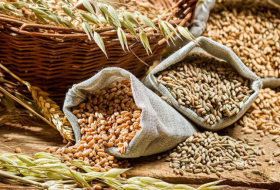   Weißrussland hat das Exportverbot für Getreide um sechs Monate verlängert  