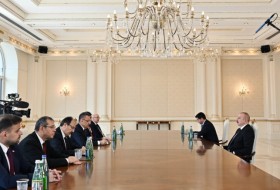  Präsident Ilham Aliyev empfing den Vizepräsidenten der Türkei 