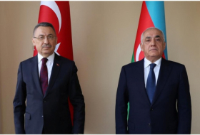   Ali Asadov drückte dem türkischen Vizepräsidenten sein Beileid aus  