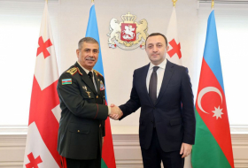   Aserbaidschanischer Verteidigungsminister trifft sich mit dem georgischen Premierminister  