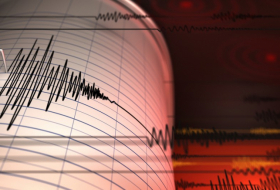   7.242 Nachbeben gab es im Erdbebengebiet der Türkei  