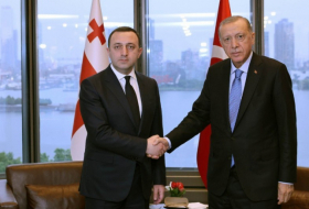   Erdogan traf sich mit dem Ministerpräsidenten von Georgien  