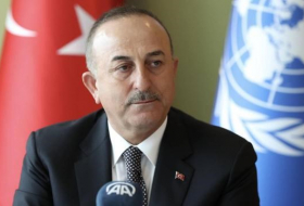     Türkischer Außenminister:   