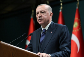   Erdogan appellierte vom ECO-Gipfel an Armenien  