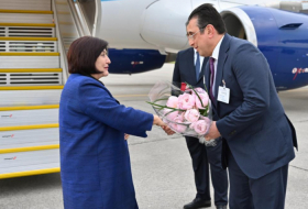   Aserbaidschanische Parlamentspräsidentin trifft in der Schweiz ein  