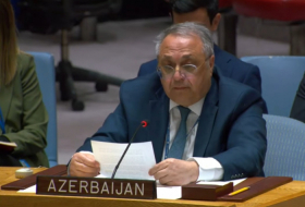   „Armenien muss falsche Narrative aufgeben und sich mit Aserbaidschan versöhnen“  