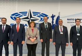   Vertreter Aserbaidschans nehmen an der Sitzung der NATO PV teil  