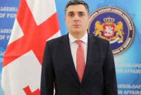   Georgischer Außenminister gratuliert Aserbaidschan zum Unabhängigkeitstag  