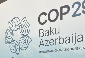  Registrierung für COP29-Freiwillige hat begonnen 