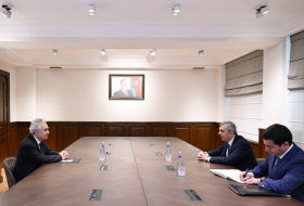   Leiter der aserbaidschanischen Präsidialverwaltung trifft sich mit IEA-Exekutivdirektor  