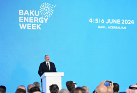   Aserbaidschanischer Leader: Die Geographie unserer Gasversorgung wird sich von nun an erweitern  