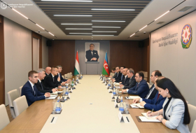   Aserbaidschan und Ungarn halten nächstes Treffen im Rahmen des strategischen Dialogs ab  