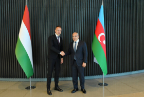   Ungarische MVM beteiligt sich an der Entwicklung des aserbaidschanischen Gasfeldes Schah Deniz  
