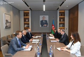   Aserbaidschans COP29-Präsidentschaft bietet zusätzliche Kooperationsmöglichkeiten mit Polen  
