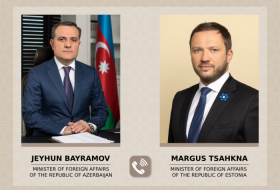   Aserbaidschan und Estland besprechen Perspektiven der Zusammenarbeit  