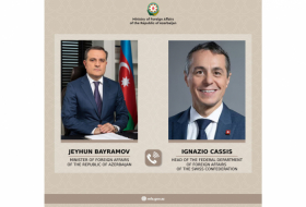   Außenminister von Aserbaidschan und der Schweiz führen Telefongespräch  
