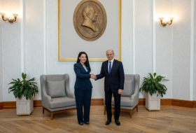   Aserbaidschan und Albanien besprechen Kooperationsprioritäten  