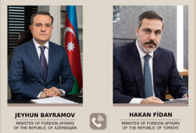   Außenminister von Aserbaidschan und der Türkei erörtern regionale Fragen  