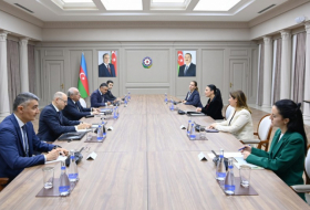   Aserbaidschanischer Premierminister trifft sich mit albanischem Vizepremier  